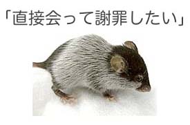mouse2.jpg